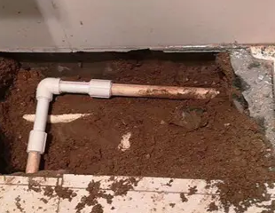 绥江测漏水哪家好