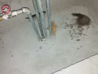 绥江卫生间测漏水价格明细