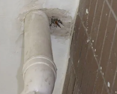 绥江漏水检测哪家好